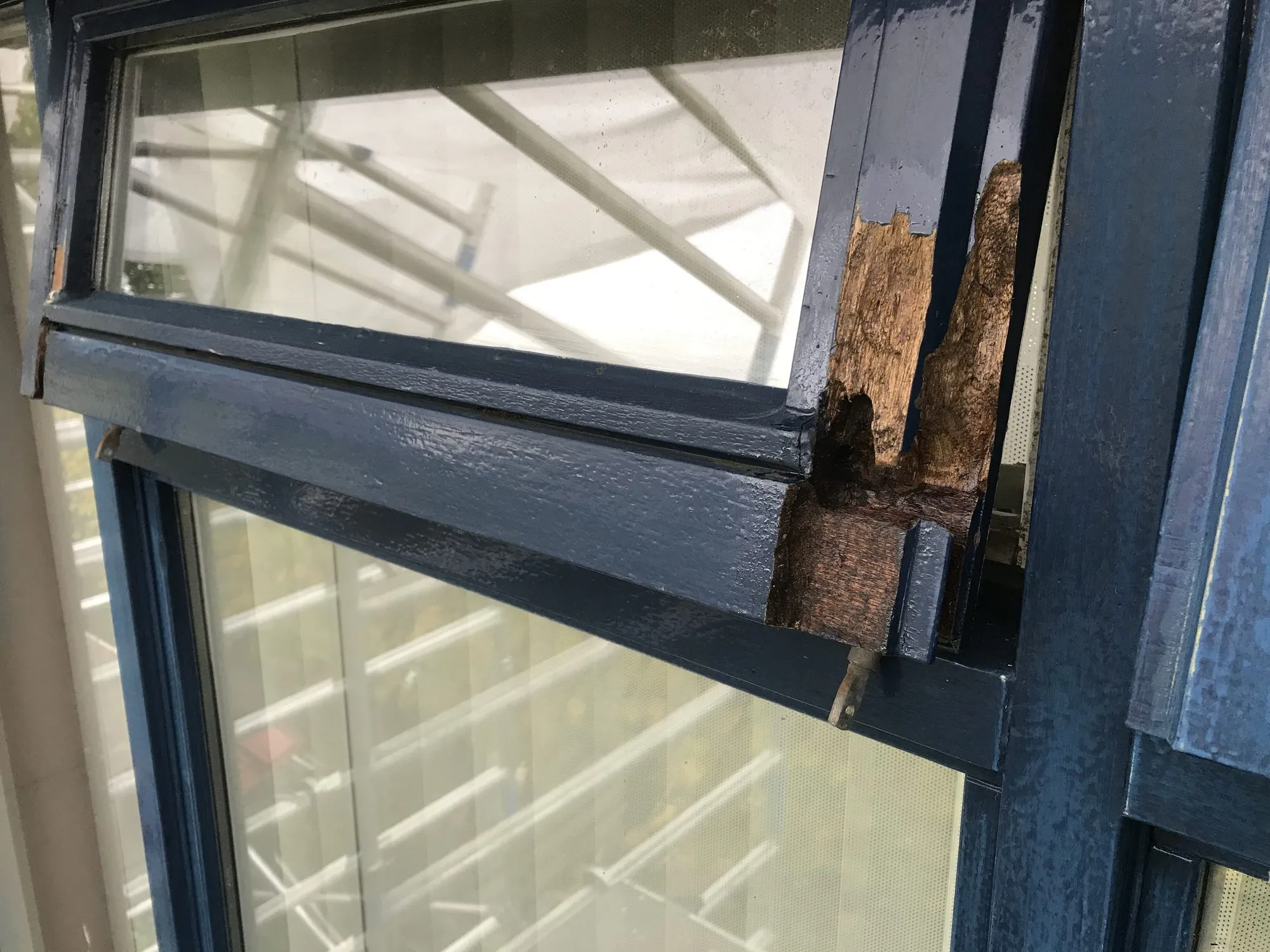Detail van een kozijn waar aangetast hout tot op gezond hout is verwijderd